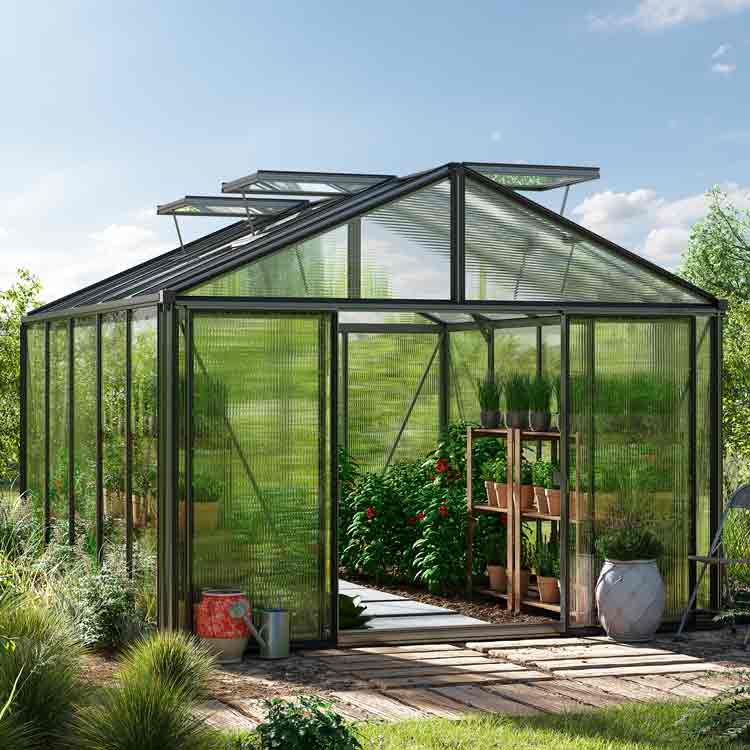 Gewächshaus ASTERIA 311x385 cm